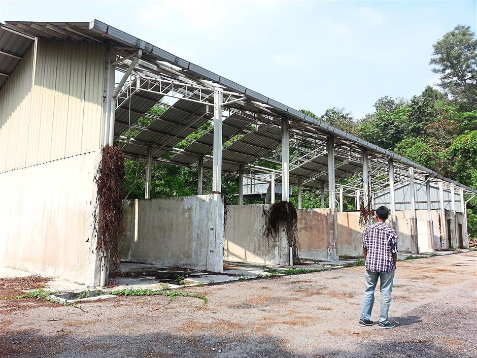The Star Does this mean we'll see more futsal and football players coming out of Klang?